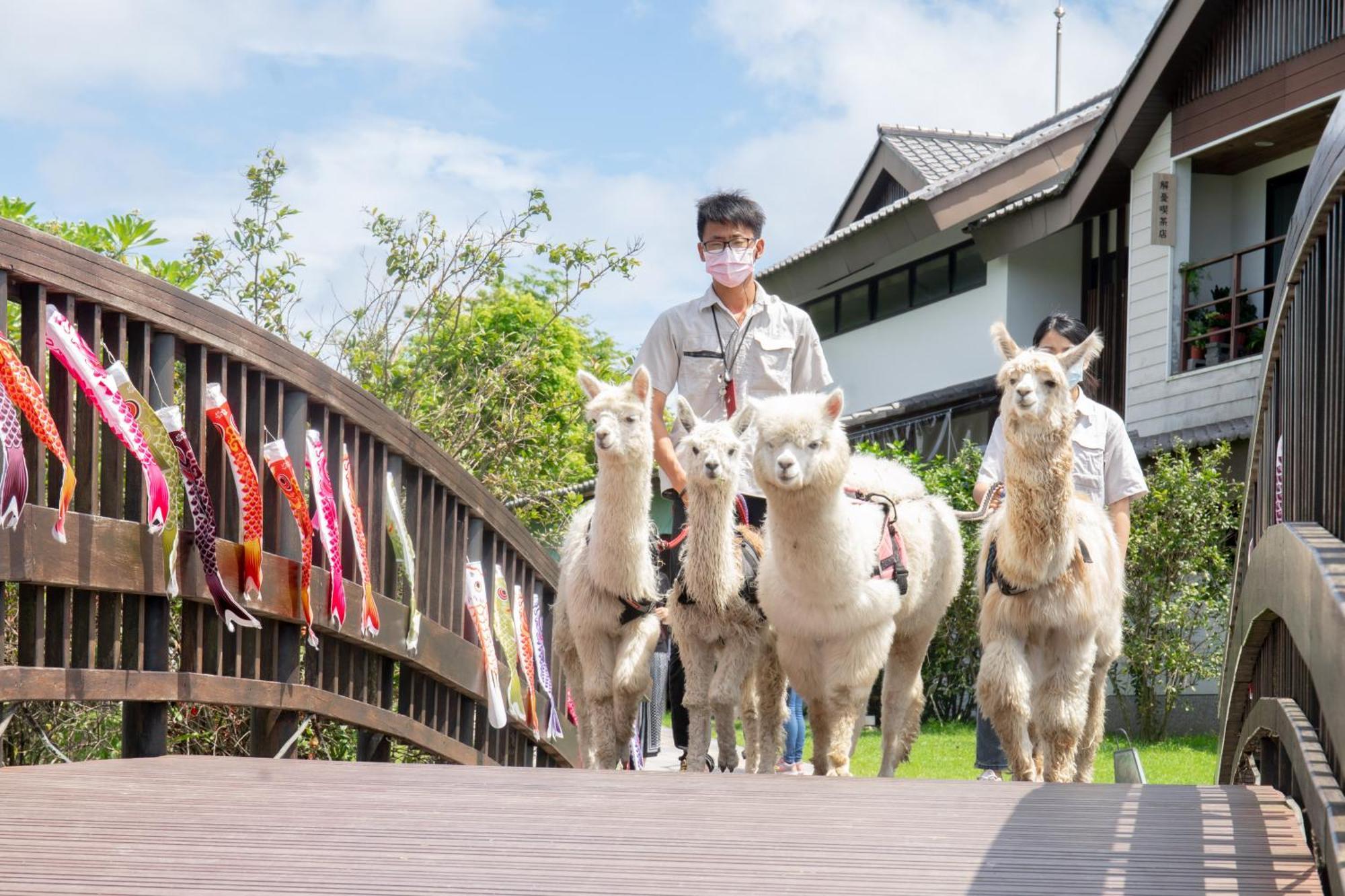 Dancewoods Hotel 우지에 외부 사진